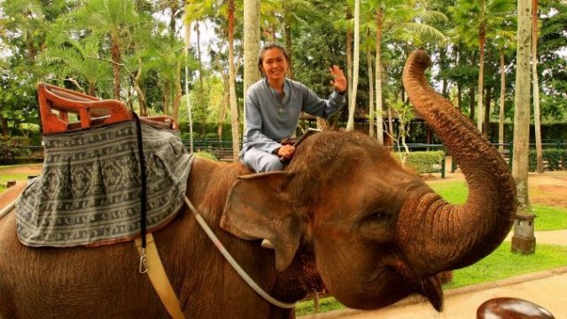 Бали: карманные слоны райского острова