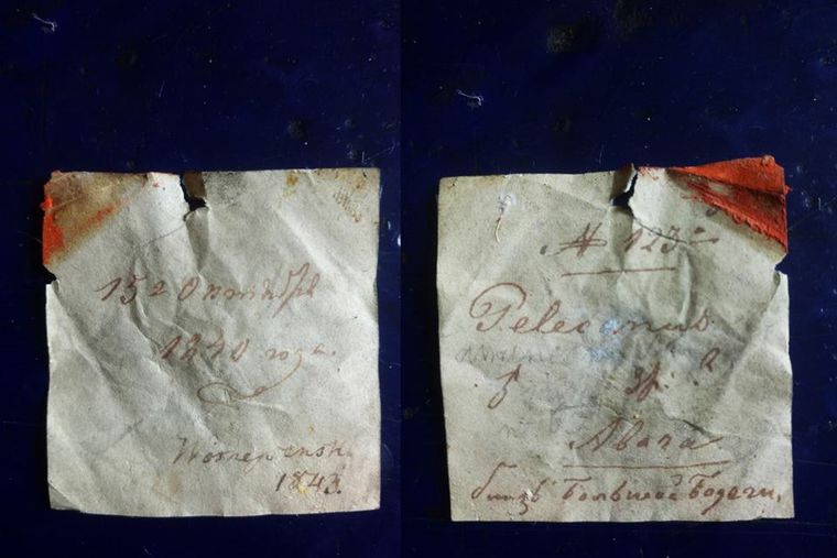 В Киеве нашли 178-летнюю записку в чучеле пеликана