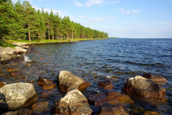 Туристско-рекреационный кластер за 4,7 млрд рублей планируют создать в Карелии