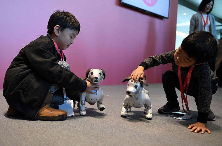 Почему в Японии популярны собаки-роботы