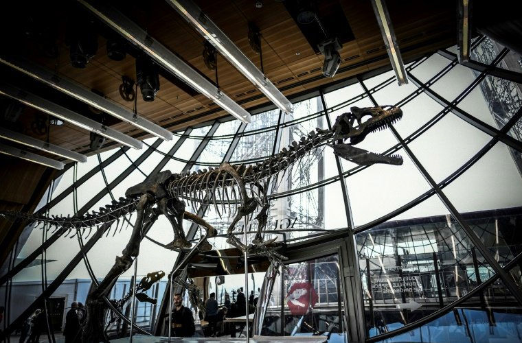 Редкий скелет динозавра продали на аукционе за 2 млн евро