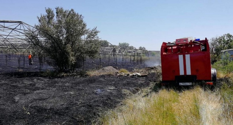 В поселке под Севастополем сгорело три гектара травы вместе с теплицами