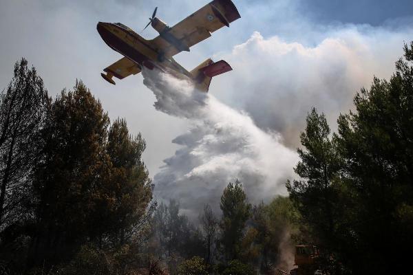 В греческой Аттике объявлено чрезвычайное положение из-за лесных пожаров