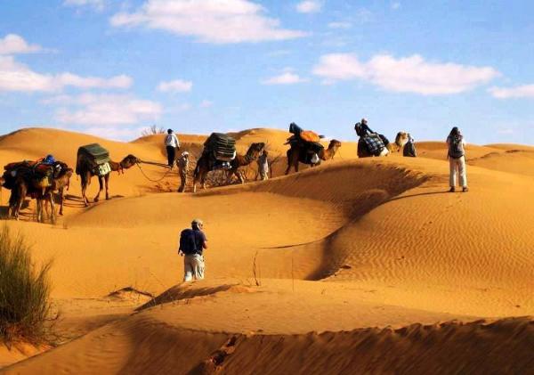 Устойчивое развитие и экотуризм в Тунисе