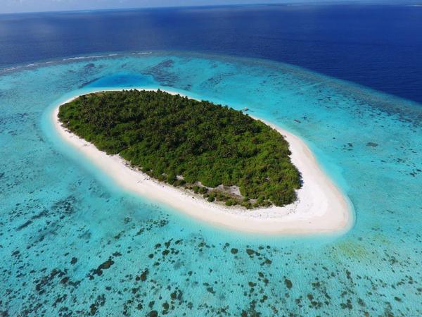 Красота подводного царства: домашний риф в новом отеле-курорте Faarufushi Maldives
