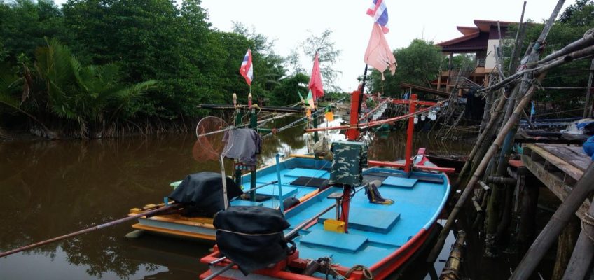 Таиланду можно доверять: страна привела в порядок рыбное хозяйство