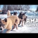 Ямал по-правде. Как живут в самом богатом регионе России