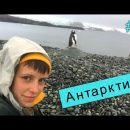 Как попасть в Антарктиду. Личный опыт путешественницы