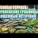 Рисовые террасы Бали. Гунунг Кави — королевские гробницы. Храм Тирта Эмпул — священный источник. №16