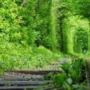 Паспорт путешественника и квест с призами — туристам в Ровно