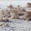 Самая большая «солонка» Европы