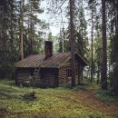 Работа мечты:  отшельник в лесу