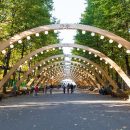 Власти Москвы могут разработать карту маршрутов экологического туризма