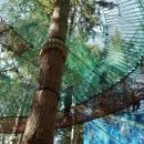 В провинции Жирона появился город на деревьях