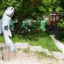 … и рыбку съесть