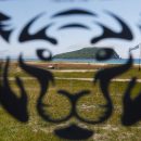 Приключения PrimDiscovery в бухте Петрова: «Амурский тигр», уютная бухта и таинственный остров