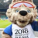 «Путеводитель болельщика» выпустят в Подмосковье к ЧМ-2018