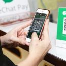 Китайские платежные системы «размножаются» в России