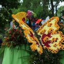 Харабакоа приглашает на Фестиваль цветов