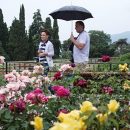 Самый точный прогноз погоды на выходные в Крыму