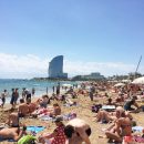 На пляже Барселоны найдены сотни мертвых рыб
