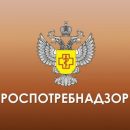 Как действовать после остановки деятельности туроператора