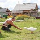 В Госдуме задумались над развитием агротуризма