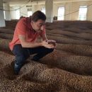 Casa Cacao — новый проект братьев Рока