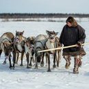 На Ямале осенью откроют посвященный культуре кочевников турмаршрут
