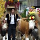 Праздники каштанов и конкурс красоты среди коров в Швейцарии
