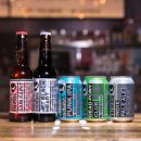 Компания BrewDog запустит первый пивной рейс в истории