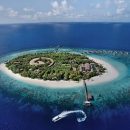 В Park Hyatt Maldives Hadahaa новая категория вилл