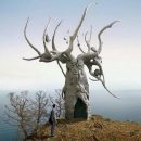 У «Хранителя Байкала» на Ольхоне обустроят инфраструктуру