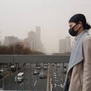 Загрязнение воздуха в Бангкоке достигло предельно опасного уровня